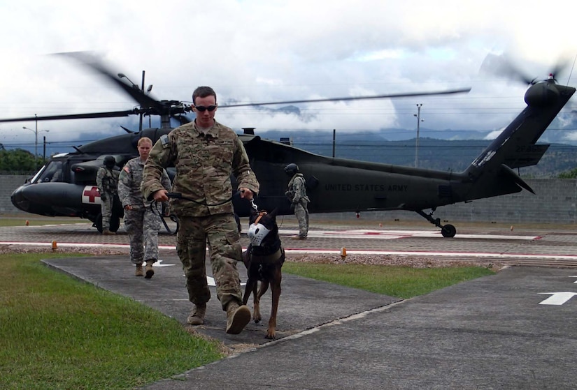 U.S. Air Force Staff Sgt. Matthew Liimakka, a military working dog handler assigned to Joint Task Force-Bravo's Joint Security Forces (JSF), leads his dog away from a UH-60 Blackhawk helicopter during a medical evacuation (MEDEVAC) familiarization exercise at Soto Cano Air Base, Honduras, Dec. 19, 2013.  Joint Task Force-Bravo’s Medical Element (MEDEL) teamed up with the 1- 228th Aviation Regiment and JSF to conduct the exercise to familiarize the dogs and their handlers in MEDEVAC procedures in case the dogs ever require an emergency medical evacuation.  (Photo by U.S. Army Sgt. Jennifer Shick)