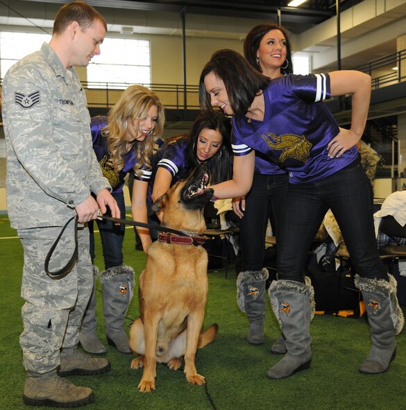 Staff Sgt. Rocky Thompson, 319th Security Forces Squadron, shows military working dog, Aron, to members of the Minnesota Vikings cheerleading team Jan. 19, 2013, at the Fitness Center on Grand Forks Air Force Base, N.D. The cheerleaders were here for a meet and greet for military members, friends and family to help promote and assist with the 2013 Super Bowl Extravaganza here. (U.S. Air Force photo/Airman 1st Class Xavier Navarro) 