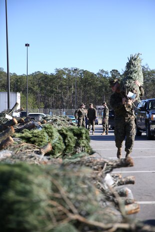 Volunteers carry Christmas trees to be given to Marines and Sailors aboard Marine Corps Air Station New River at the Youth Sports Complex as part of the Trees for Troops program, Dec. 12. Since 2005, Trees for Troops has given more than 100,000 live Christmas trees to service members and their families.
