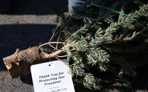 Volunteers carry Christmas trees to be given to Marines and Sailors aboard Marine Corps Air Station New River at the Youth Sports Complex as part of the Trees for Troops program, Dec. 12. Since 2005, Trees for Troops has given more than 100,000 live Christmas trees to service members and their families.

