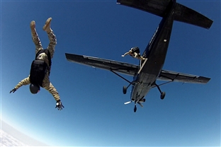 FREE FALL