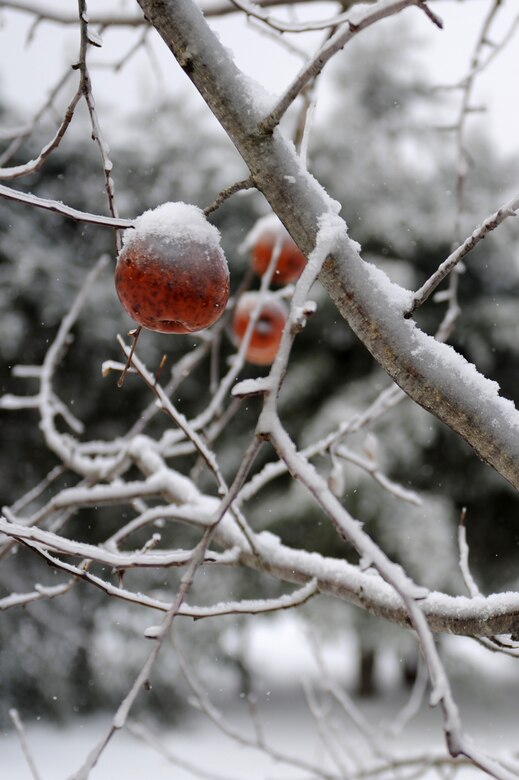 What did you learn from 2013? Will past hardships make you more resilient in 2014? Read this story to find out what one Seymour Johnson Airman’s resolutions are this year.  (U.S. Air Force photo by Airman 1st Class Aaron J. Jenne)