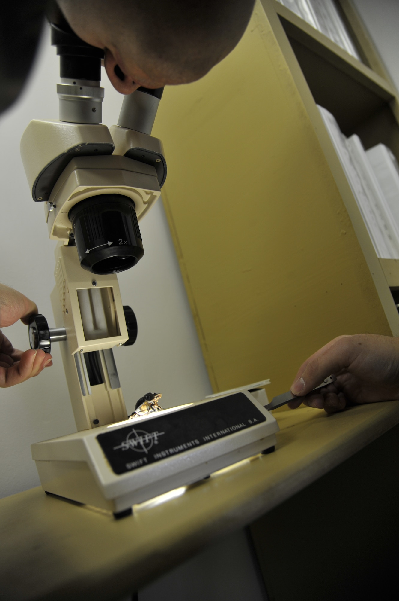 WHITEMAN AIR FORCE BASE, Mo. -- Airman 1st Class Zachary Kegley, 509th Civil Engineer Squadron Pest Management Apprentice, examines an insect through a microscope, Jan. 23. Kegley is finding unusual characteristics on the beetle that will identify it from other types of beetles. Certain species of beetles have small characteristics and can be unnoticed by the human eye. (U.S. Photo by Airman 1st Class Keenan Berry) (Released)