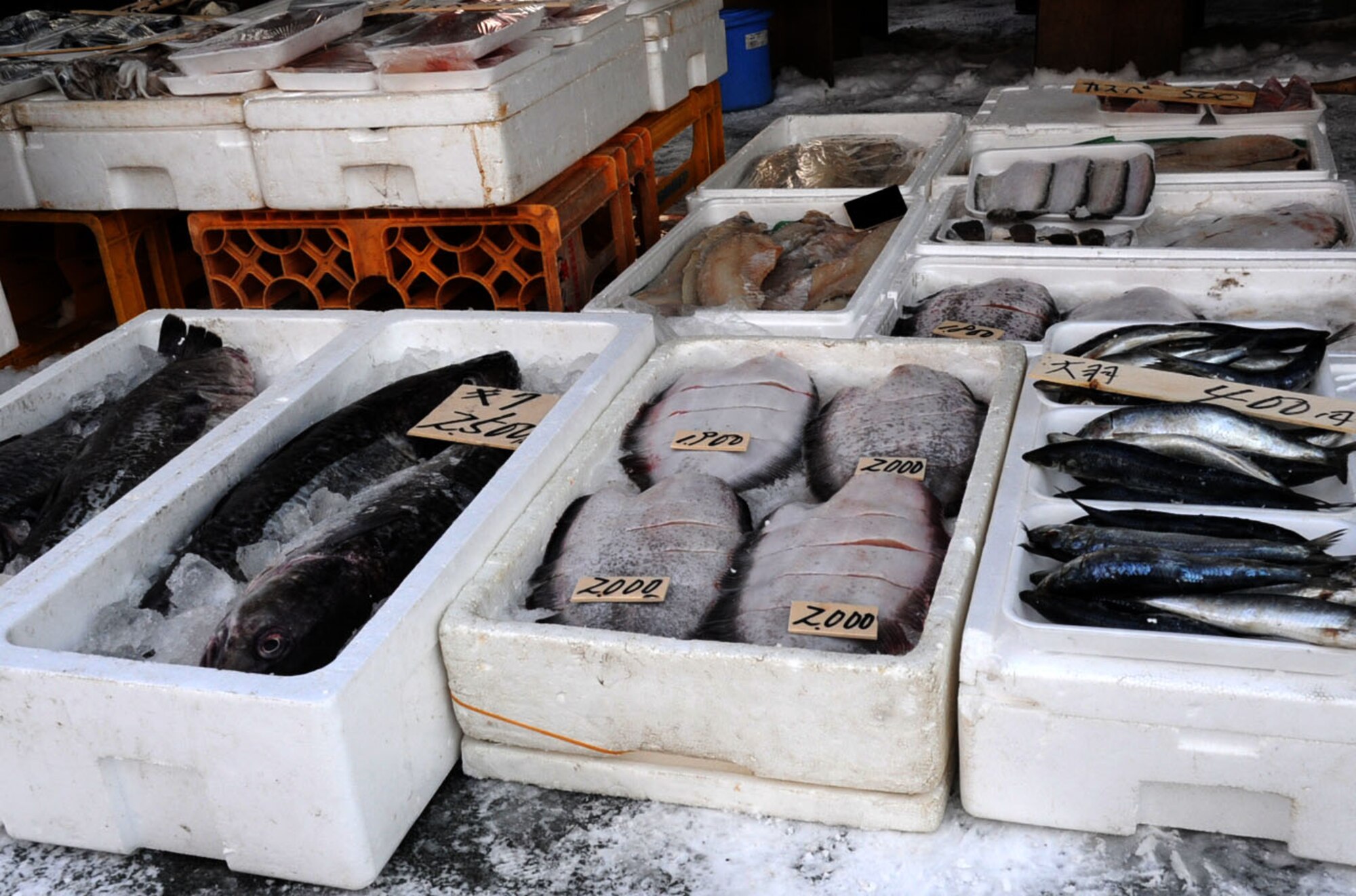 Various kinds of seafood are put on display at the Misawa 9th Day Market in Misawa City, Japan, Jan. 29, 2013. Because the fruits, vegetables and fish come from local farmers and fishermen, the produce are fresher than in a grocery store. (U.S. Air Force photo by Airman 1st Class Kenna Jackson)