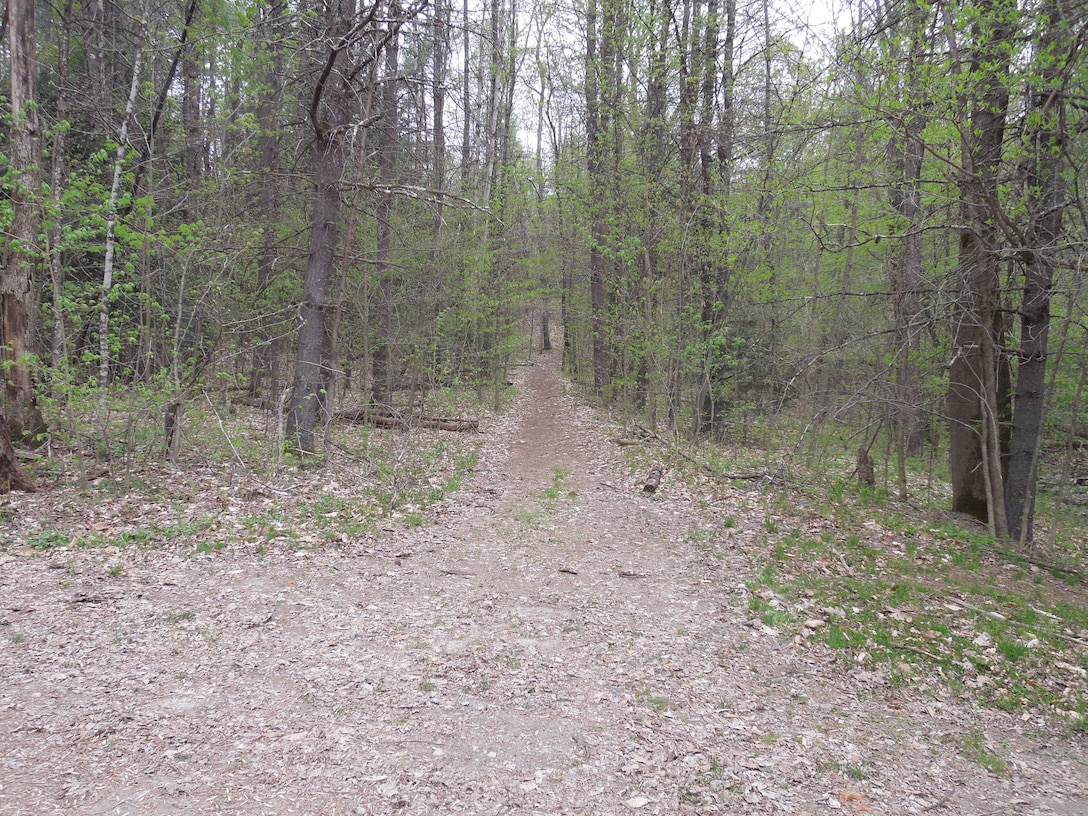 North Springfield Lake and Stoughton Pond Recreation Area, Springfield, Vt., are developed for multiple use. Located on 1,372 acres of public lands along the Black River and the North Branch, these areas offer a variety of settings.