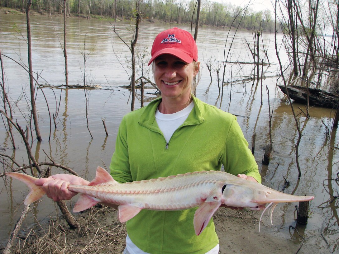 Angie Rodgers of the U.S. Fish and Wildlife Service, also Assistant Coordinator of the Lower Mississippi River Conservation Committee, holds a federally endangered pallid sturgeon.