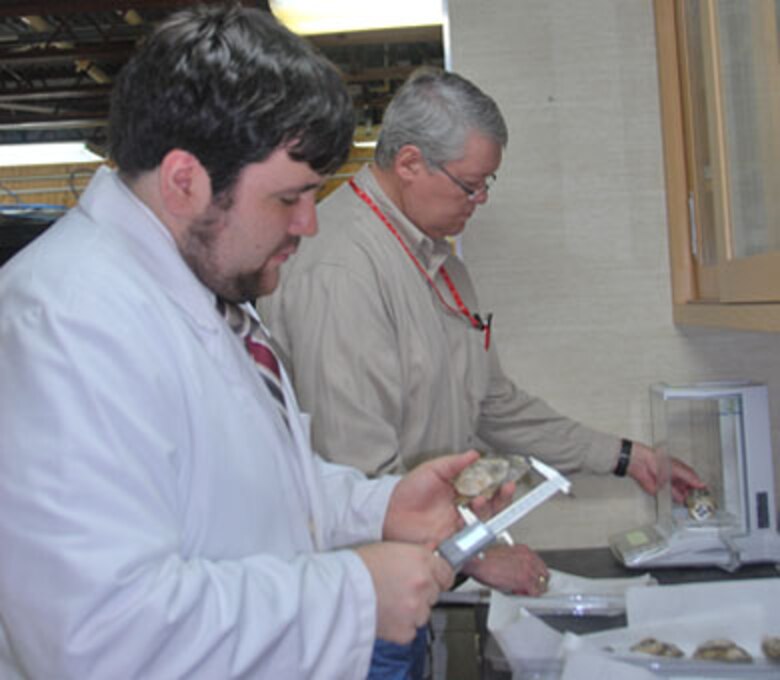 Barry Marcel of the University of Louisiana at Monroe, left, and ERDC-EL’s Dr. Burton Suedel measure and weigh Chesapeake Bay oysters for their unique research experiment on oyster responses to varying sediment levels found in the James River.  The data will be used by the Norfolk District in addressing environmental concerns over yearly dredging operations.