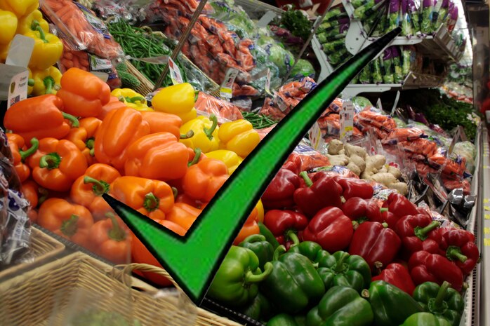 The United States Department of Agriculture created Myplate with advice from first lady Michelle Obama's anti-obesity team and federal health officials.