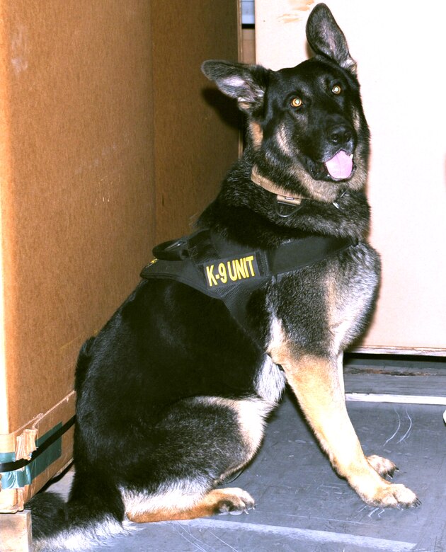 GOODFELLOW AIR FORCE BASE, Texas- The veterinary clinic here, keeps military police dogs healthy and ready to tackle their mission. The clinic also offers services to household pets. (U.S. Air Force photo/ Staff Sgt. Laura McFarlane)
