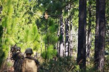 A squad of Marines with 2nd Marine Logistics Group’s Corporals Course patrols through the woods of Camp Lejeune, N.C., Feb. 5, 2013. Two rival squads of students used the diverse vegetation and broken terrain at the course’s training area to lay ambushes and set up defense parameters throughout the day’s training.