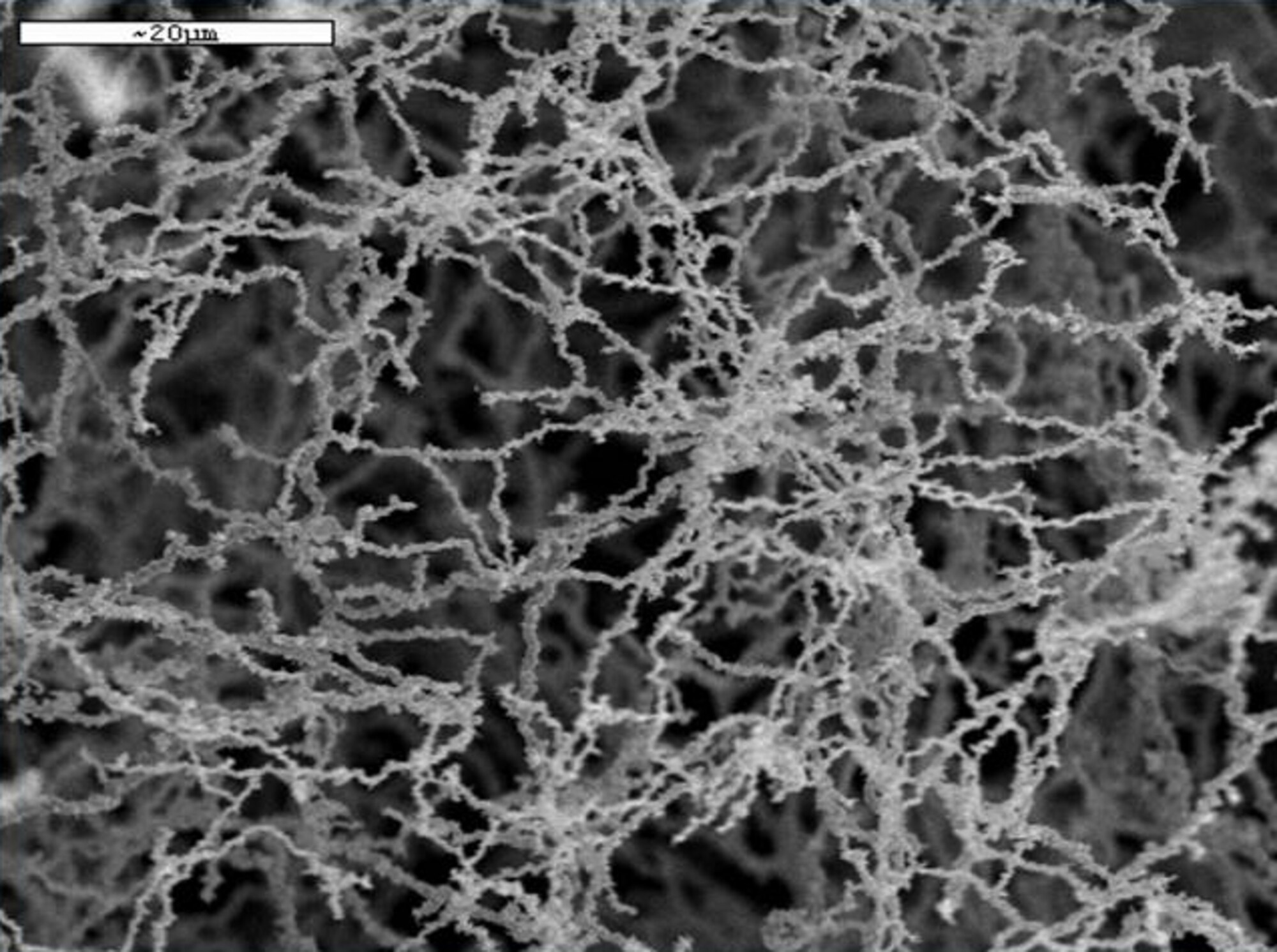 A Scanning Electron Microscope image of nickel nanostrands: 1000 X (20 µm scale bar).  (AFRL Image)