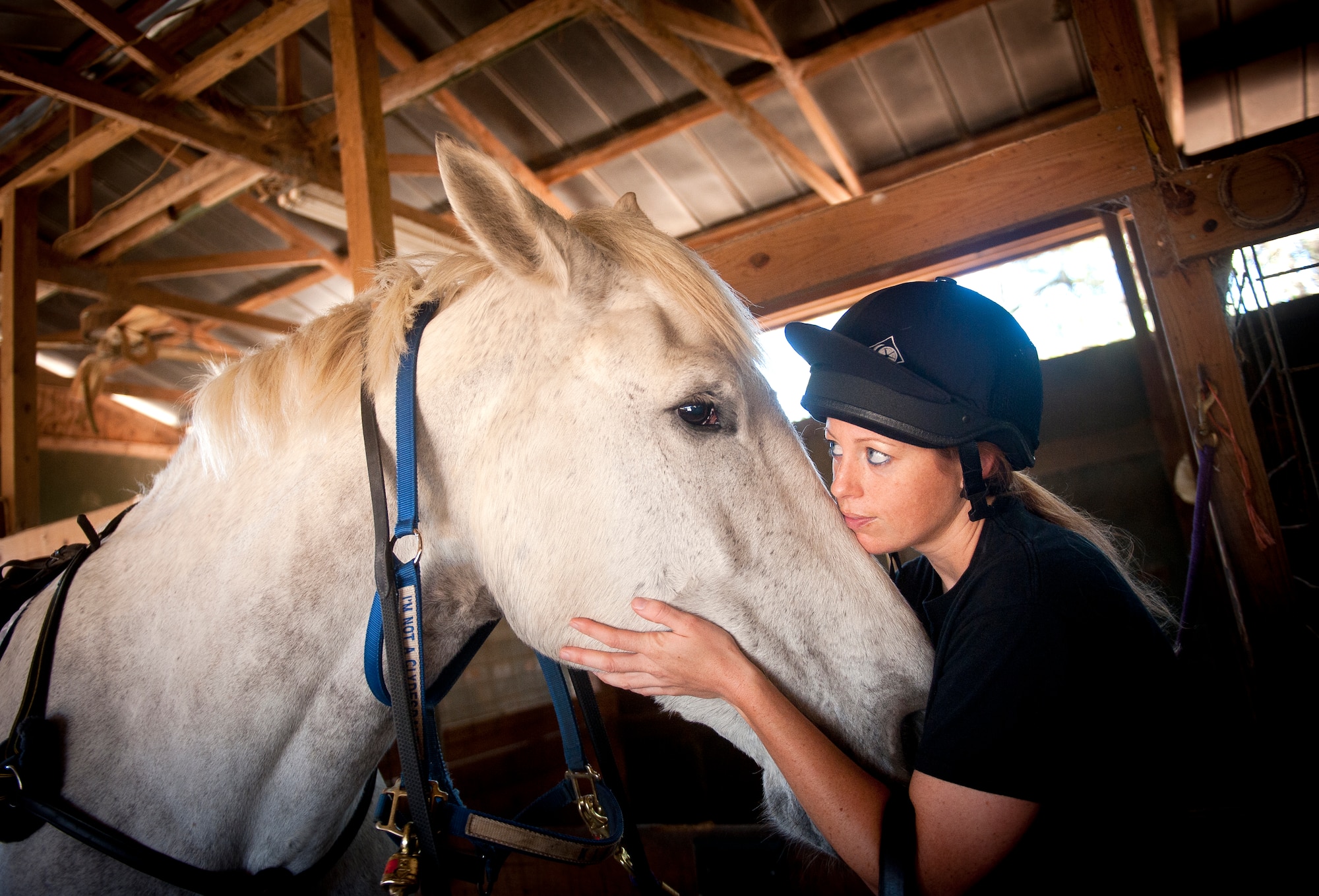 U.S. Air Force Staff Sgt. Stacey Chastain, 23d Wing Judge Advocate military justice paralegal, hugs her horse, Klein, at a stable in Valdosta, Ga., Feb. 3, 2013. Klein is a 1,500-pound Percheron that Chastain competes with in three-day eventing. (U.S. Air Force photo by Senior Airman Jarrod Grammel/Released) 

