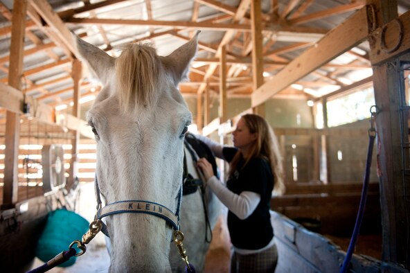 U.S. Air Force Staff Sgt. Stacey Chastain, 23d Wing Judge Advocate military justice paralegal, puts a saddle on her horse, Klein, at a stable in Valdosta, Ga., Feb. 3, 2013. As part of the Air Force equestrian team, the Air Force supplied Chastain with riding equipment, including saddlepads. (U.S. Air Force photo by Senior Airman Jarrod Grammel/Released)
