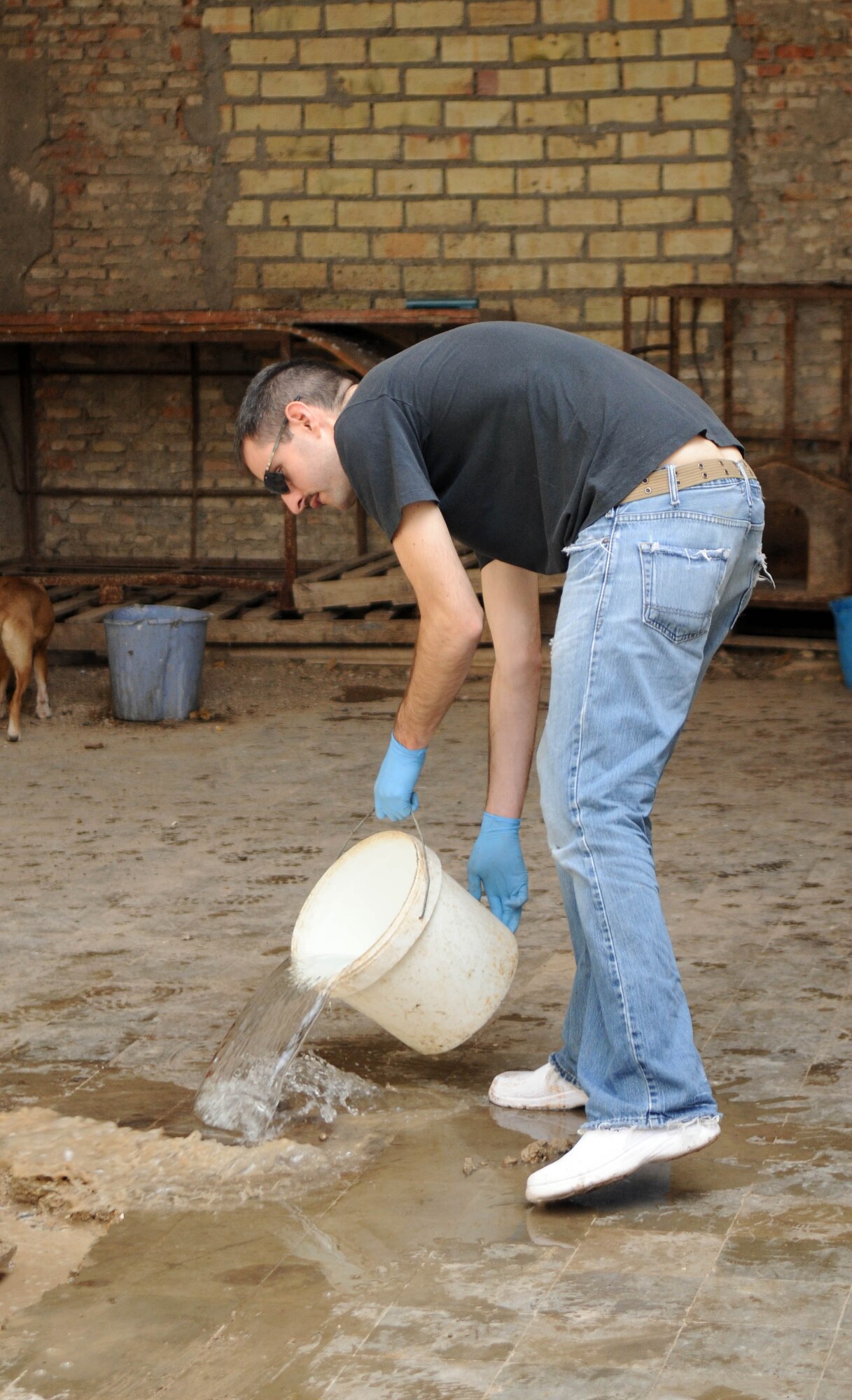 First Lt. Paul Paskell, 351st Expeditionary Air Refueling Squadron, rinses the floor at a shelter for stray dogs in southwest Europe Feb. 10, 2013. Paskell, a Seattle native, is part of a group of servicemembers deployed from RAF Mildenhall, England, in support of French operations in Mali, who volunteered to clean and play with the animals at the dog shelter during off-duty time. (U.S. Air Force photo by Staff Sgt. Austin M. May)