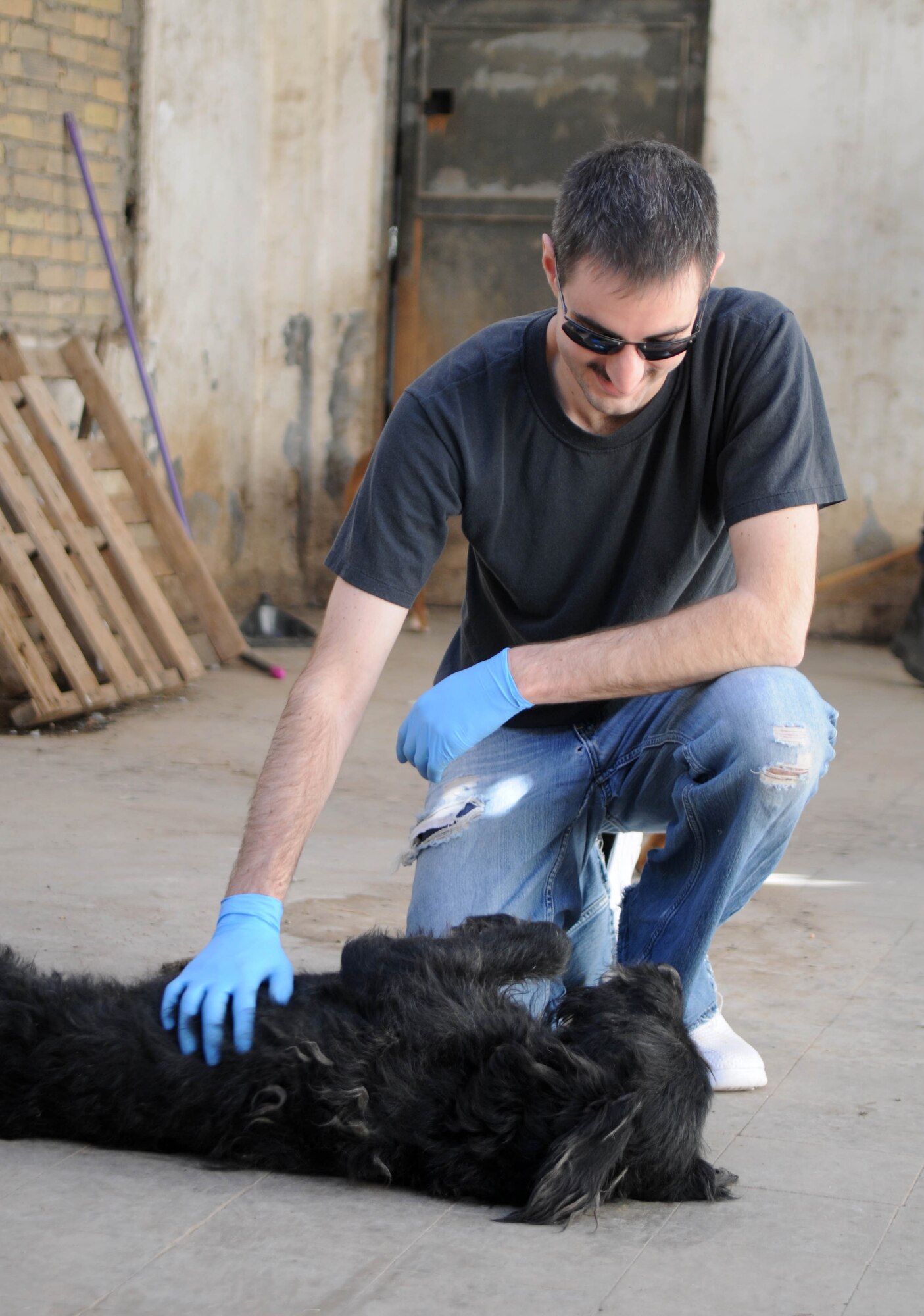 First Lt. Paul Paskell, 351st Expeditionary Air Refueling Squadron, plays with a dog at a shelter for strays in southwest Europe Feb. 10, 2013. Paskell, a Seattle native, is part of a group of servicemembers deployed from RAF Mildenhall, England, in support of French operations in Mali, who volunteered to clean and play with the animals at the dog shelter during off-duty time. (U.S. Air Force photo by Staff Sgt. Austin M. May)