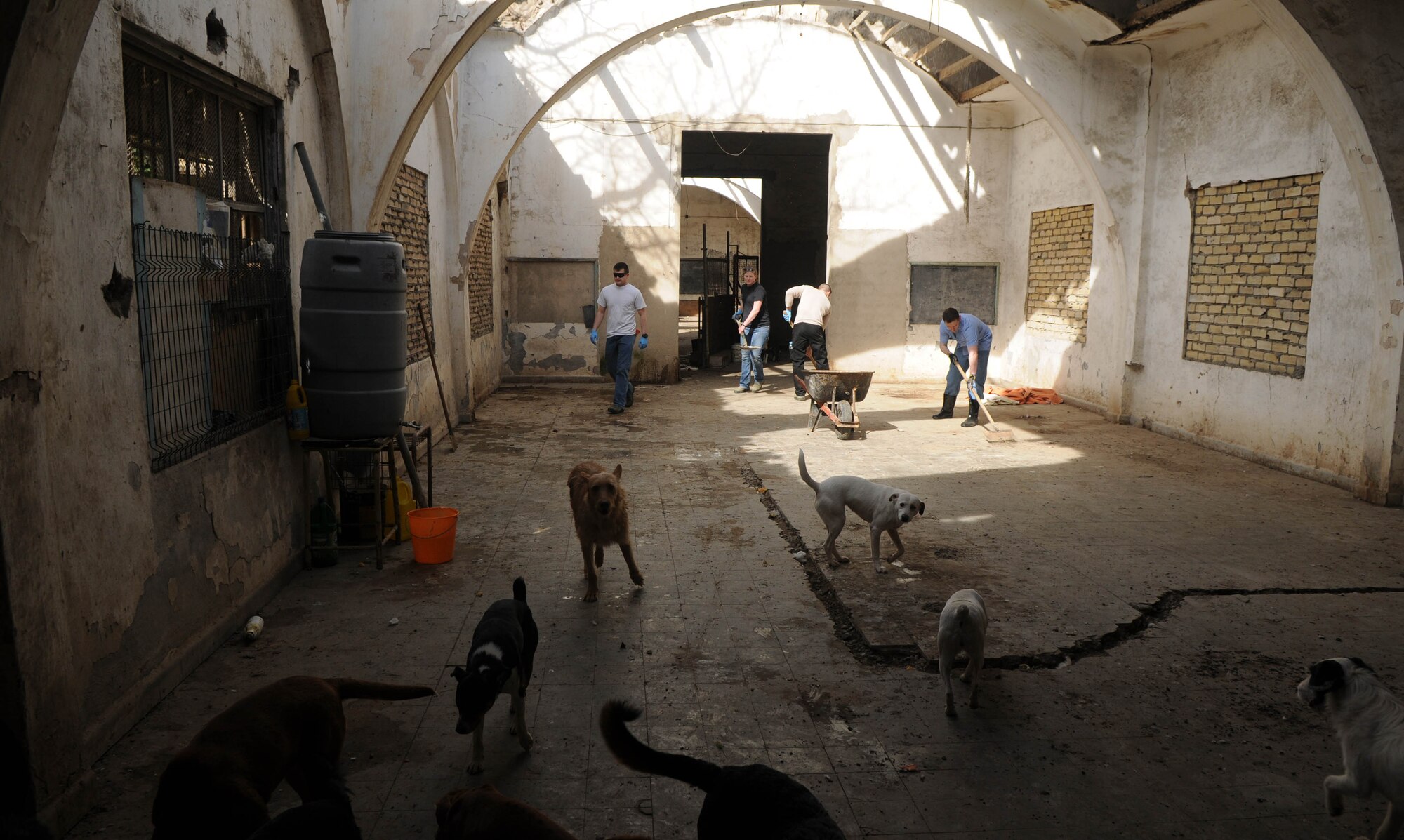 A group of servicemembers deployed from RAF Mildenhall, England, in support of French operations in Mali, volunteer to clean and play with the animals at a dog shelter in southwest Europe during off-duty time Feb. 10, 2013. (U.S. Air Force photo by Staff Sgt. Austin M. May)