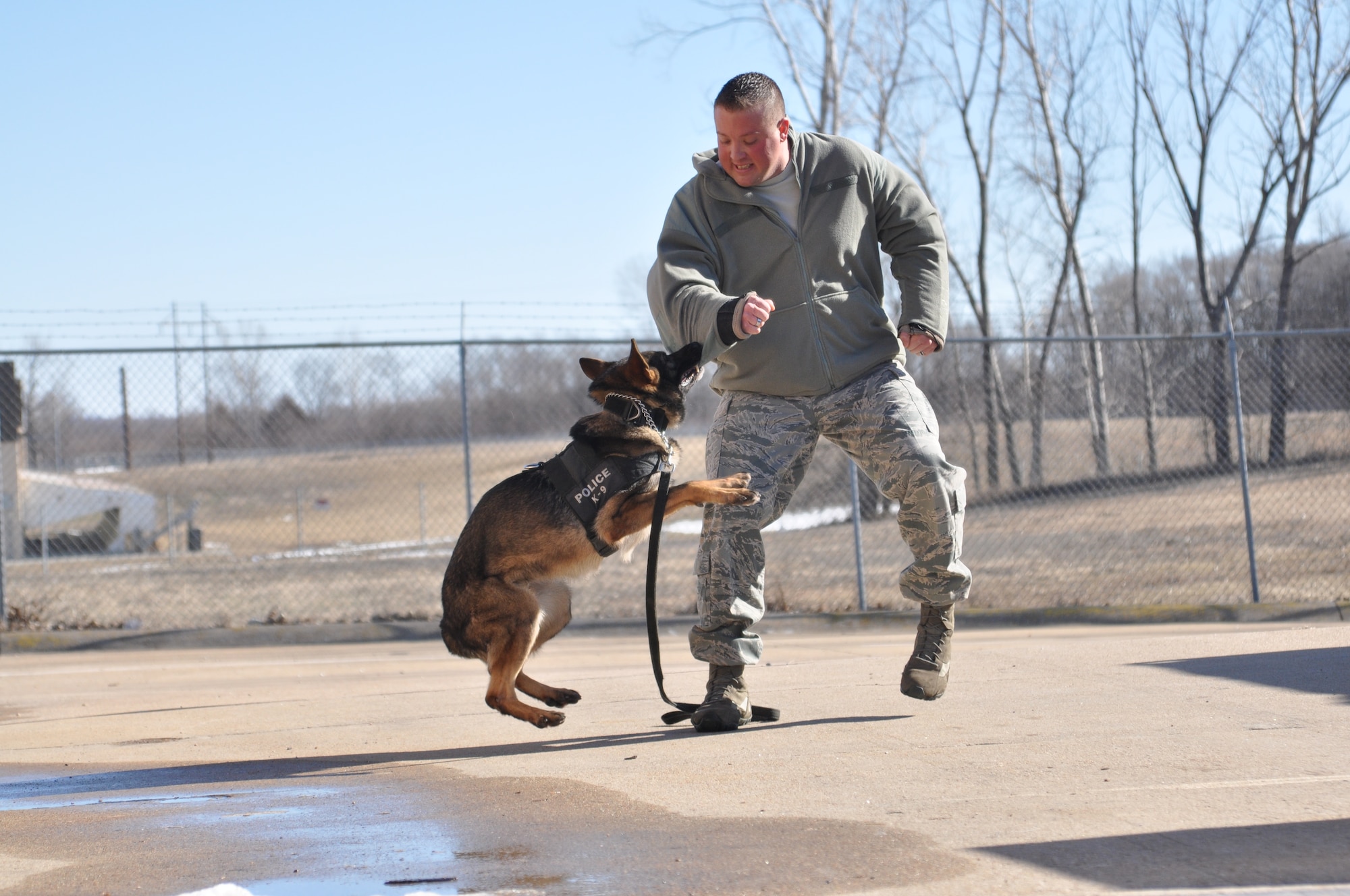 Vihar, a 7-year-old Belgium Malinois and K-9 Military Working Dog, demonstrates how to apprehend a suspect, which was played by Tech. Sgt. Bryan Gudmundson, the kennel master for the 55th Security Forces Squadron, on Feb. 5. (U.S. Air Force Photo by 2nd Lt. Carly Costello/Released)