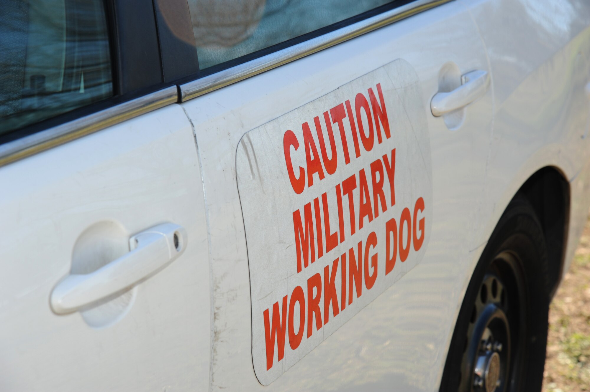 Recent studies suggest that military working dogs may be subject to post-traumatic stress disorder, much like their human counterparts.  (U.S. Air Force photo by Kemberly Groue)