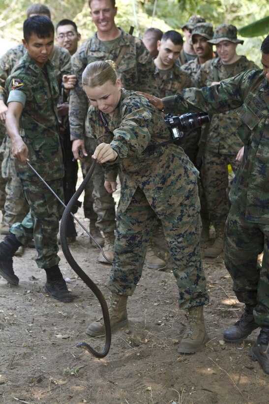 Lance Cpl. Katelyn M. Hunter, a combat photographer with the command element, 31st Marine Expeditionary Unit, and a native of Arcadia, Fla., handles a king cobra snake under the supervision of a Royal Thai Marine during a jungle survival class as a part of Cobra Gold 2013 here, Feb. 20. Cobra Gold demonstrates the resolve of the U.S. and participating nations to increase interoperability, and promote security and peace throughout the Asia-Pacific region. The 31st MEU is the only continuously forward-deployed MEU and is the Marine Corps’ force in readiness in the Asia-Pacific region.