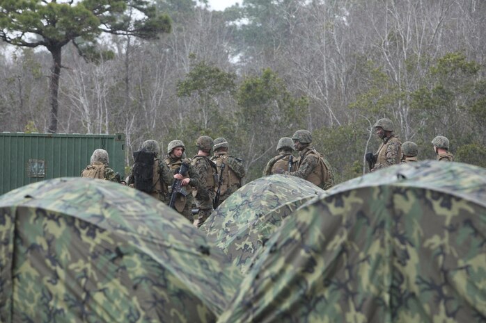 Marines and sailors with 2nd Supply Battalion, Combat Logistics Regiment 25, 2nd Marine Logistics Group wait to conduct a patrol during a training operation aboard Camp Lejeune, N.C., Feb. 7, 2013. Marines with 2nd Supply Bn. focused on improving the unit’s operational effectiveness in preparation for their support of the training exercise Rolling Thunder in March. 
