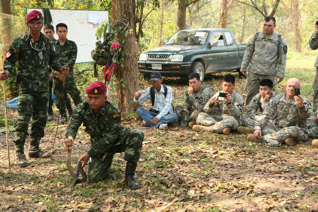Royal Thai Army Special Forces Master Sgt. 1st Class Thong Nimnuan, center, demonstrates how to safely handle a cobra during a jungle survival class Feb. 17 at Camp Akatosrot, Phitsanulok province, Kingdom of Thailand, as part of exercise Cobra Gold 2013. Royal Thai Army students are with 7th Regiment, 7th Division, 3rd Region. U.S. soldiers are with Baker Company, 2nd Battalion, 9th Infantry Regiment, 1st Armored Brigade Combat Team, 2nd Infantry Division. Exercise Cobra Gold is the largest multinational exercise in the Asia-Pacific region and provides the Kingdom of Thailand, United States, Singapore, Japan, Republic of Korea, Indonesia, Malaysia and observer nations, an opportunity to maintain relationships and enhance interoperability.