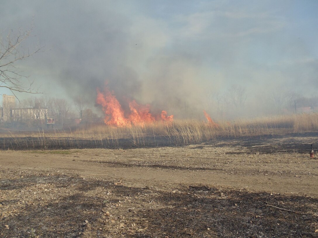 Prescribed burn to remove invasive species before installing native wet prairie plants.