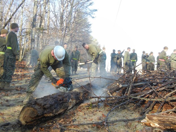 Lance Cpl. David Drennen, left, and Staff Sgt. Christopher Cole work to cut a dead tree down to manageable size, as Marines of The Basic School’s Instructor Battalion clean up the forest near Camp Barrett Pond on Feb. 14 inpreparing for a recreation area dedicated to the Montford Point Marines. 