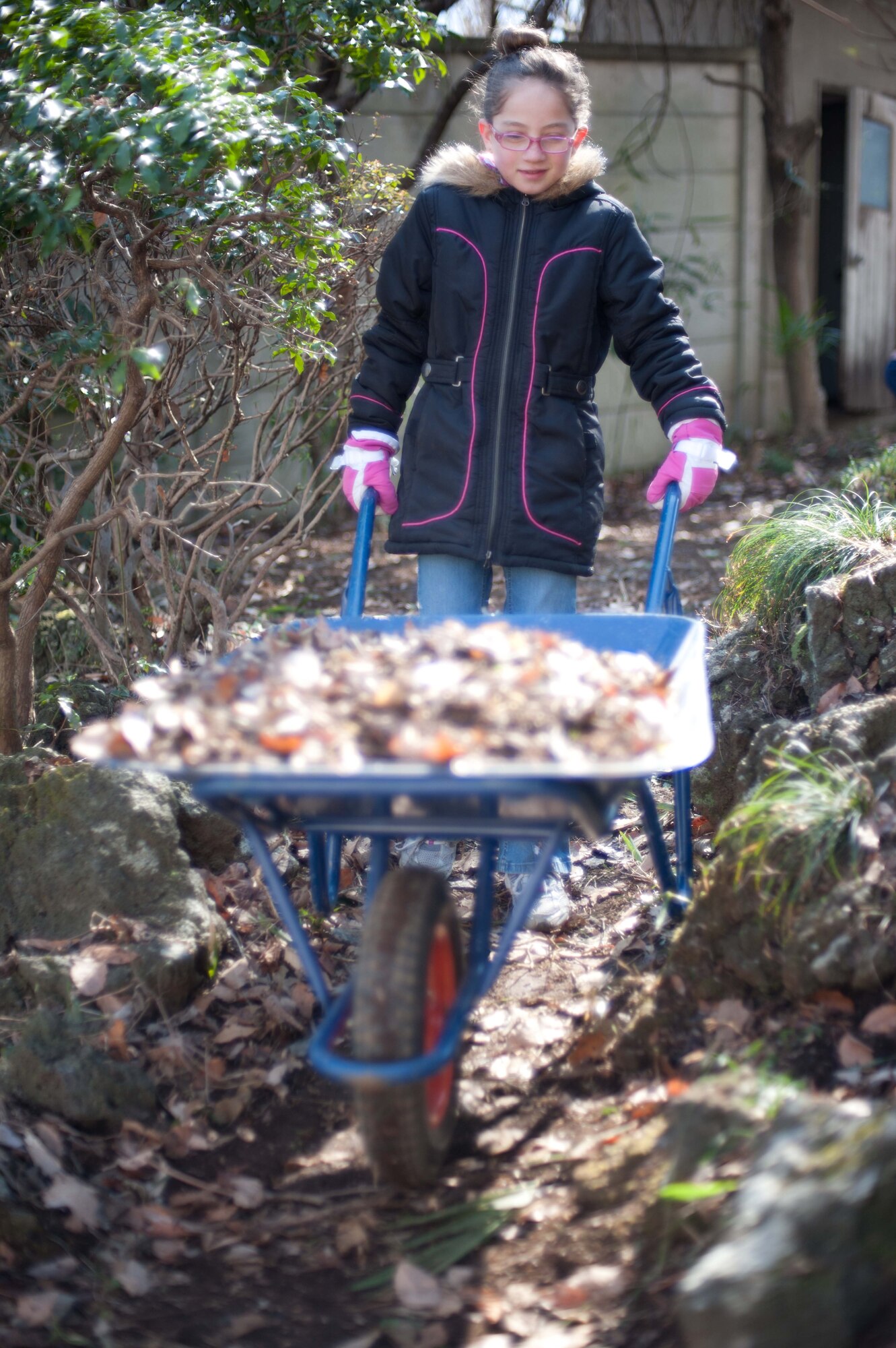 Evelyn Hughes, a Yokota Air Base volunteer, transports leaves to help reclaim a path at the Monastery of St. Clare in Kiryushi, Japan, Feb. 16, 2013. Members from the Yokota Catholic Community devoted their Saturday morning to clearing away years of overgrowth surrounding the local monastery. (U.S. Air Force photo by 1st Lt. Christopher Love)