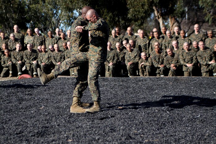 Drill instructors with Company F, 2nd Recruit Training Battalion, demonstrate different exercises the recruits do during the combat conditioning exercise aboard Marine Corps Recruit Depot San Diego, Jan. 30.   The CCX helped give recruits a new perspective of combat conditioning.