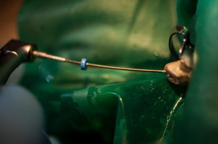 Major Brent Waldman, 628th Medical Group Dental Clinic general dentist, uses a drill to perform a root canal on Military Working Dog Shark, 628th Security Forces Squadron, Feb. 20, 2013, at the Veterinary Clinic at Joint Base Charleston – Air Base, S.C. Shark was under anesthesia during the root canal and teeth cleaning. Shark works on both the Air Base and Weapons Station at JB Charleston. (U.S. Air Force photo/ Senior Airman Dennis Sloan)