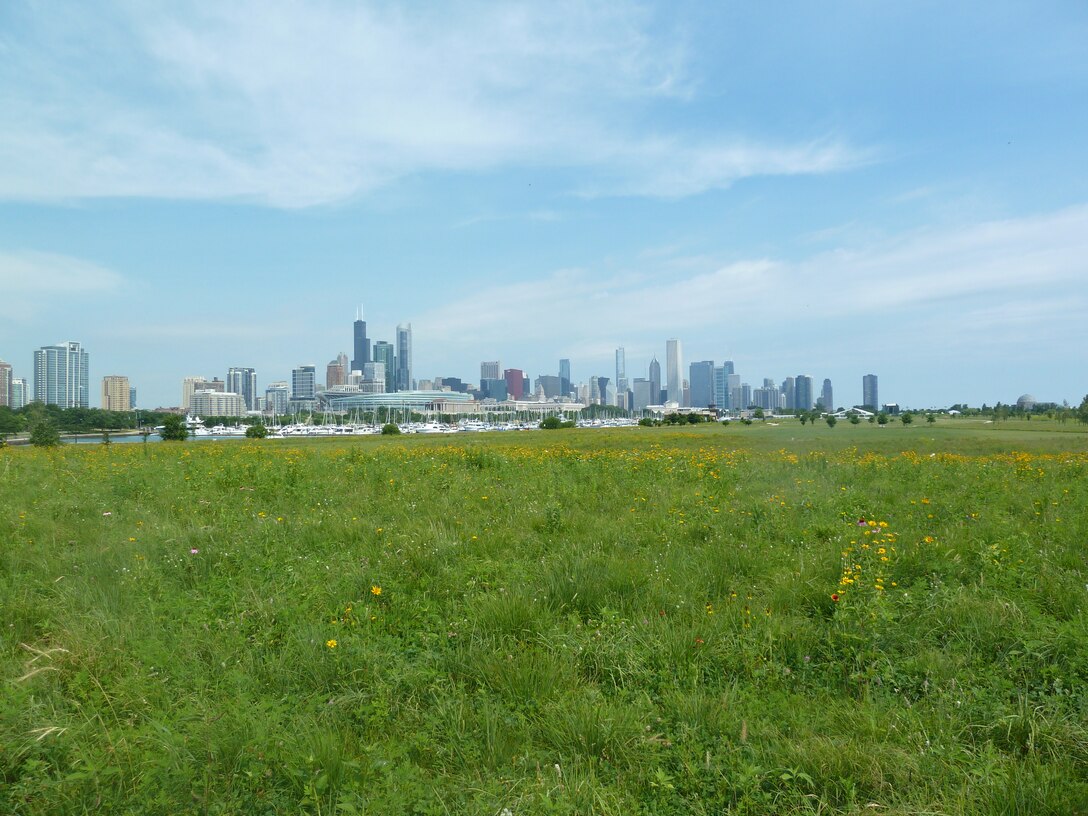 Restore Lagoon, Wetland, Prairie, Savanna and Woodland on 40-acres