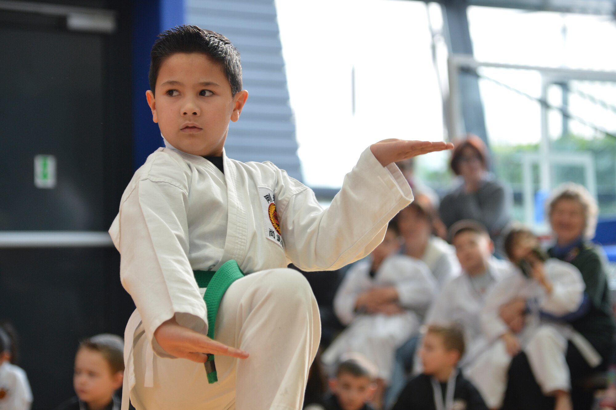 David Bidwell III, 8, son of David Bidwell Jr., performs a martial arts demonstration during the 13th annual U.S. Air Forces in Europe and Air Forces Africa Martial Arts Tournament on Ramstein Air Base, Germany, Feb. 23, 2013. The USAFE-AFAFRICA Martial Arts Tournament is a way for all participants ages 3 to 18 to test their martial art skills against their peers. (U.S. Air Force photo/Airman 1st Class Jordan Castelan)