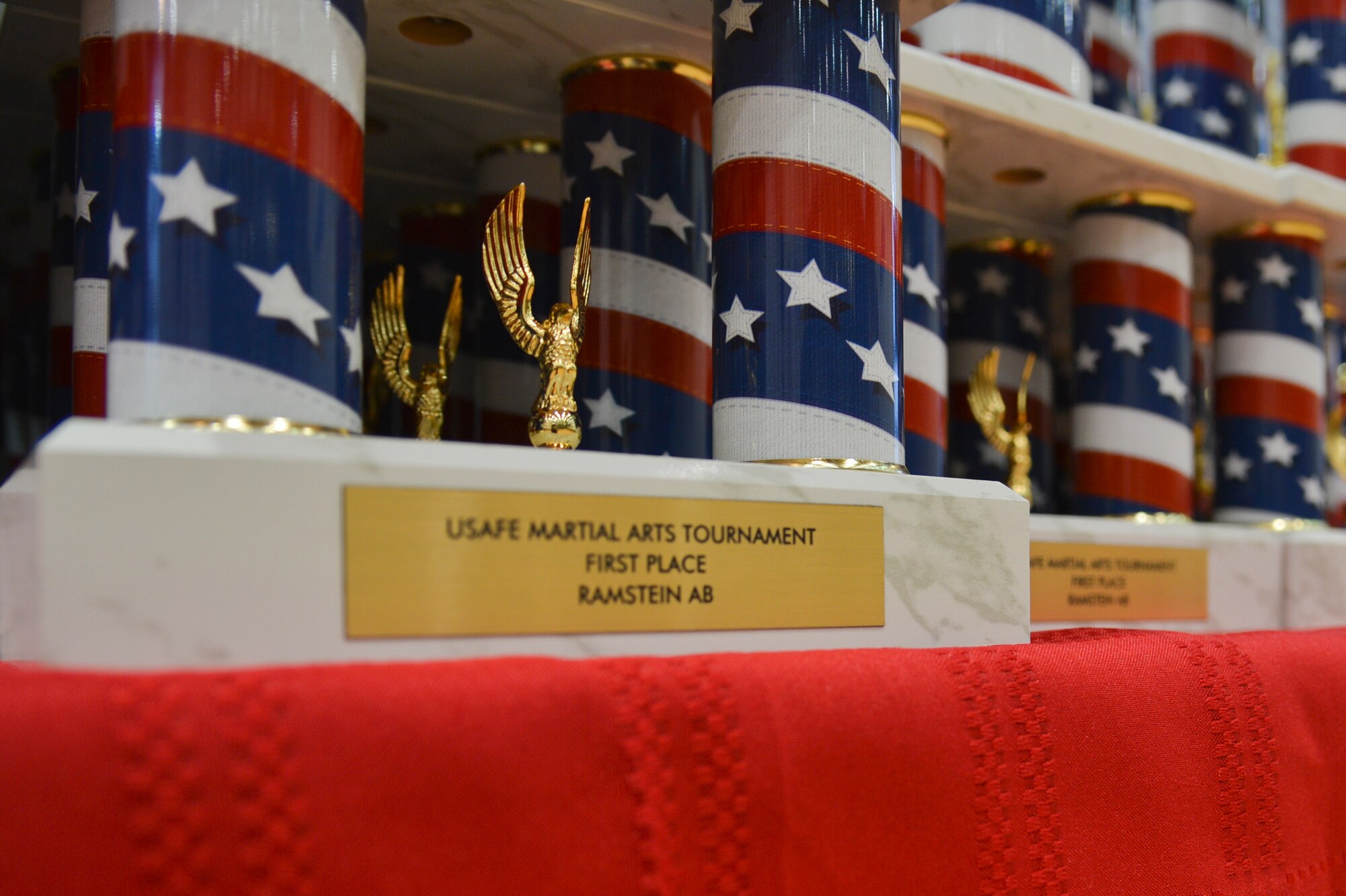 The U.S. Air Forces in Europe and Air Forces Africa Martial Arts Tournament held on Ramstein Air Base, Germany, Feb. 23, 2013, is a way for all participants ages 3 to 18 to test their martial art skills against their peers. (U.S. Air Force photo/Airman 1st Class Jordan Castelan)