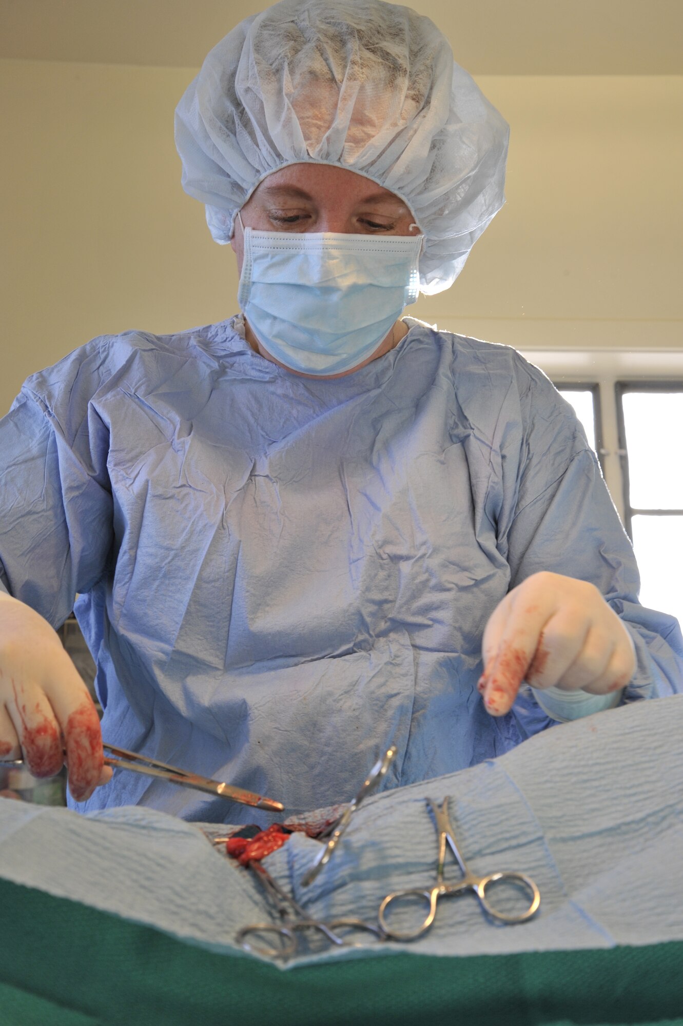 Katie Dull, base veterinarian, removes the uterus and ovaries of a female dog, also known as spaying, at the vet clinic at Fairchild Air Force Base, Wash., Feb. 11, 2013. Spay and neutering procedures are performed on a limited basis at the clinic. (U.S. Air Force photo by Senior Airman Mary O'Dell)