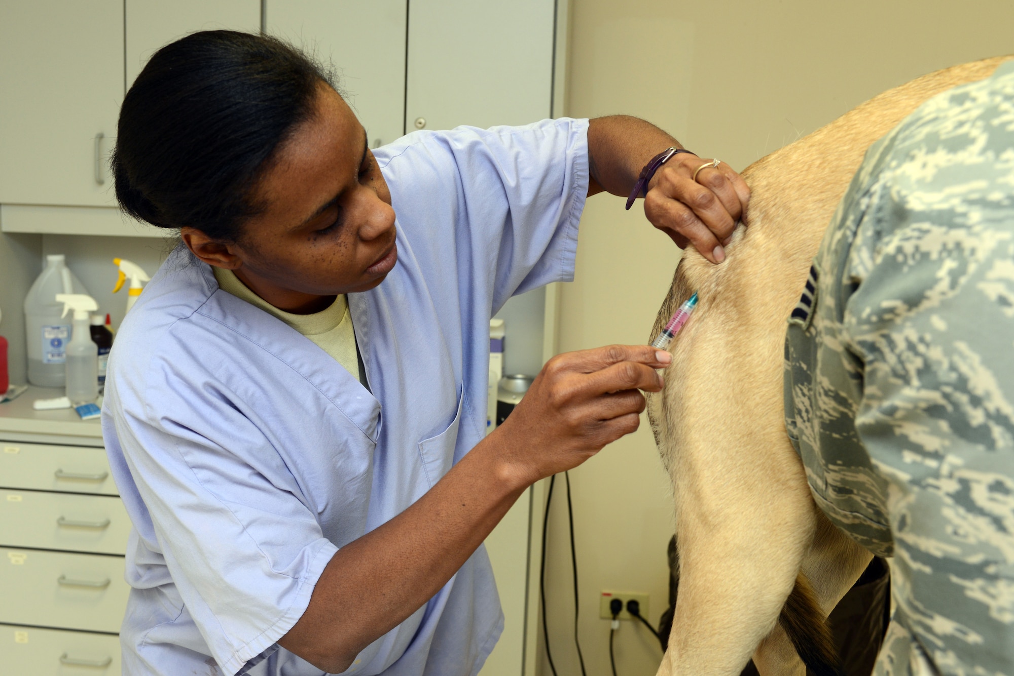 U.S. Army Staff Sgt. Monique Tercero, 39th Medical Group NCO in charge of the Veterinary Clinic, administers a vaccination to a dog, Feb. 22, 2013, at Incirlik Air Base, Turkey.  The Veterinary Clinic offers routine medical care and immunizations to Incirlik members’ pets. (U.S. Air Force photo by Tech. Sgt. Dallas Edwards/Released)
