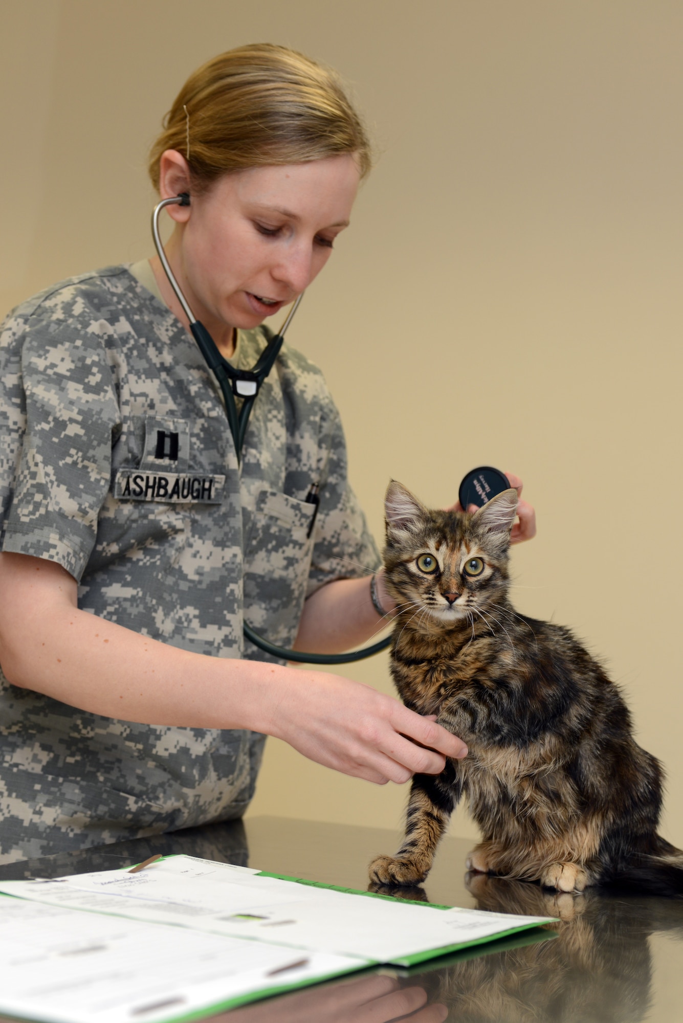 U.S. Army Capt. Hayley Ashbaugh, 39th Medical Group veterinarian, performs a checkup on a family pet at the Veterinary Clinic Feb. 14, 2013 at Incirlik Air Base, Turkey.  The Veterinary Clinic offers routine medical care and certain surgical procedures for on-base pets.  (U.S. Air Force photo by Tech. Sgt. Dallas Edwards/Released)