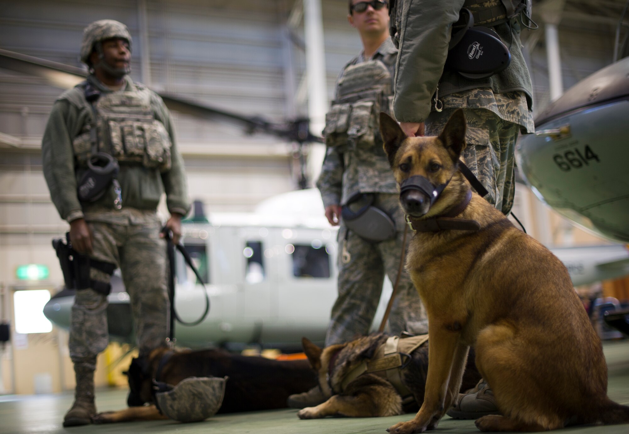 YOKOTA AIR BASE, Japan -- Military working dog handlers with 374th Security Force Squadron stand ready to begin a fly-away security team training at Yokota Air Base, Japan, Feb. 25, 2013. During contingencies FAST members, embed with the aircrew and travel with Yokota aircraft providing protection against potential threats in potentially dangerous areas protecting all crew members and the aircraft. (U.S. Air Force photo by Staff Sgt. Stacy Moless)