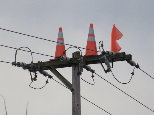 In an attempt to discourage nesting on open poles, Penn Power has placed orange cones and flags on poles. 