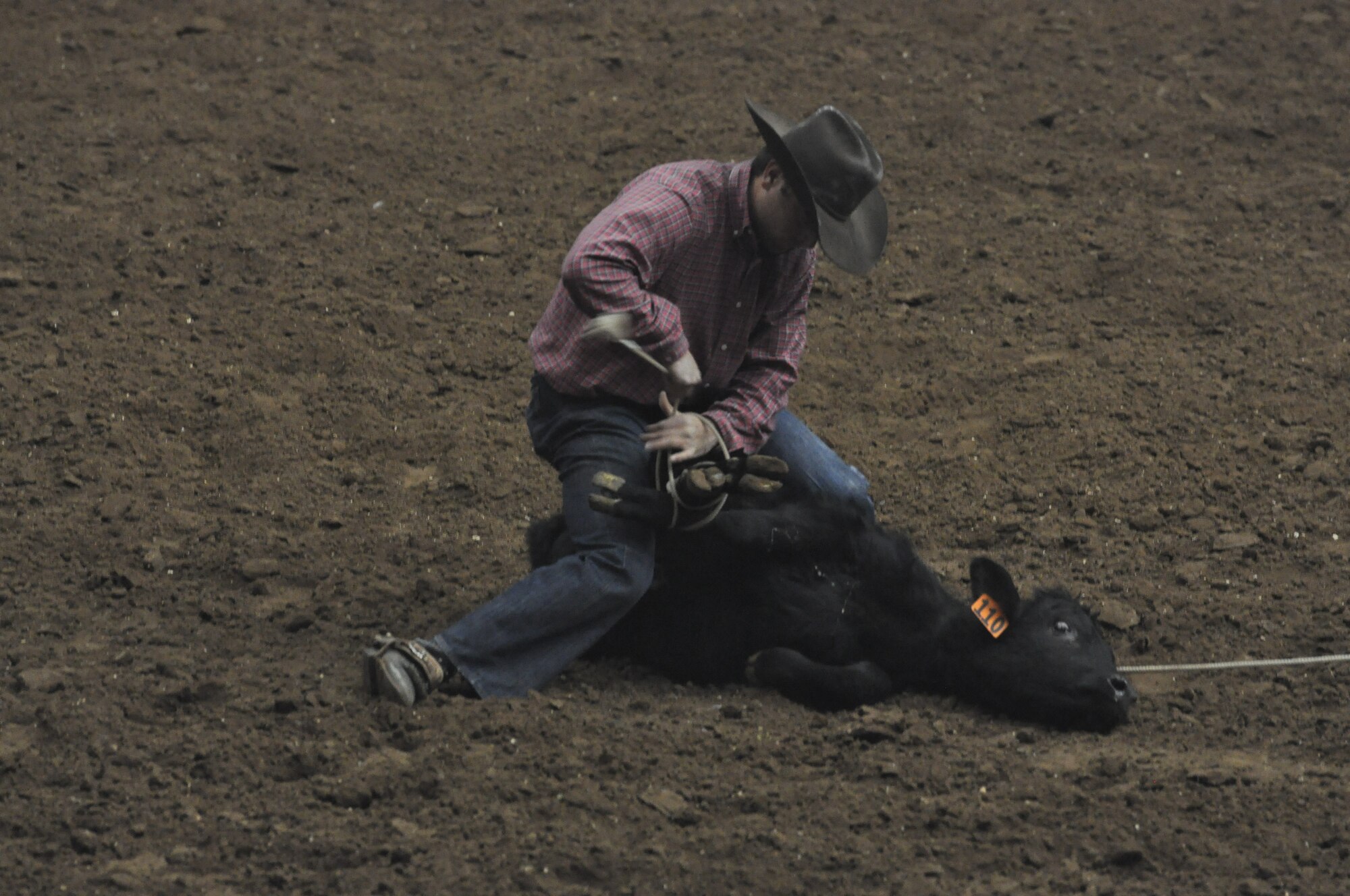 SAN ANGELO, Texas – A competitor at the San Angelo Stock Show and Rodeo ropes a calf at the Foster Communication Coliseum, Feb. 20. Before wrangling the calf, he held the rope tie in his mouth for a faster time. (U.S. Air Force photo/ Airman 1st Class Joshua Edwards)