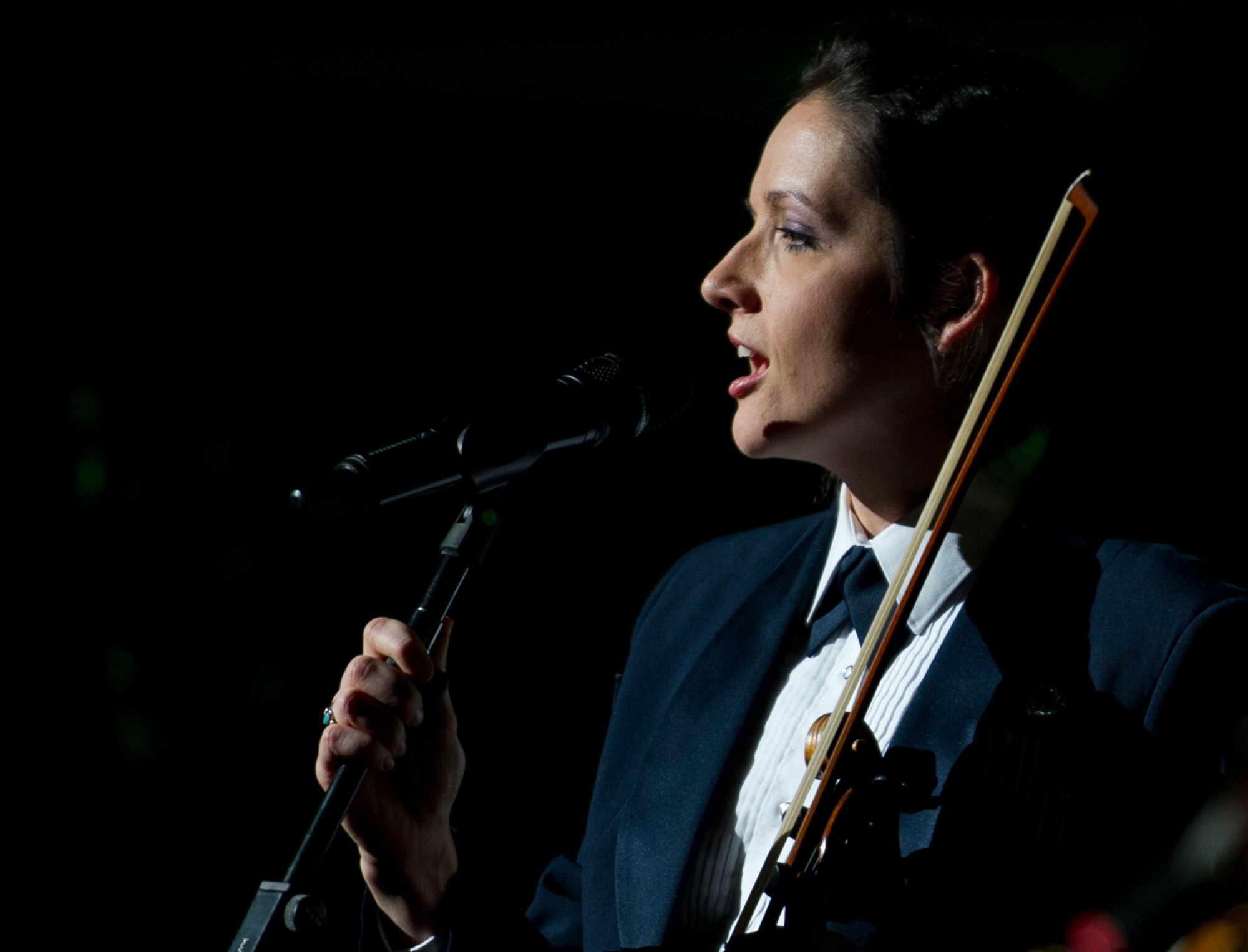 Tech Sgt. Emily Wellington, a U.S. Air Force Band singer and fiddle player for the Celtic Aire ensemble, sings during the Guest Artist Series concert at the Daughters of the American Revolution Constitution Hall in Washington D.C., Feb. 24, 2013. The Rouges, a Celtic rock band, performed as the guest artists. (U.S. Air Force photo/ Staff Sgt. Perry Aston)