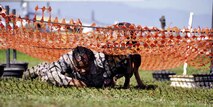 Staff Sgt. Natisha Johnson, military working dog handler, Beale Air Force Base, and her dog, Frigo, participate in the Iron Dawg competition held at the March Field Air Museum, Sunday, Feb. 17. During the endurance portion of the competition, handlers and K9s were challenged to a one-mile run, accompanied by a low crawl. They  competed for the title of “Top Dawg,” by demonstrating their proficiency in tactical obedience, bite work, detection and endurance (U.S. Air Force photo by Megan Crusher)