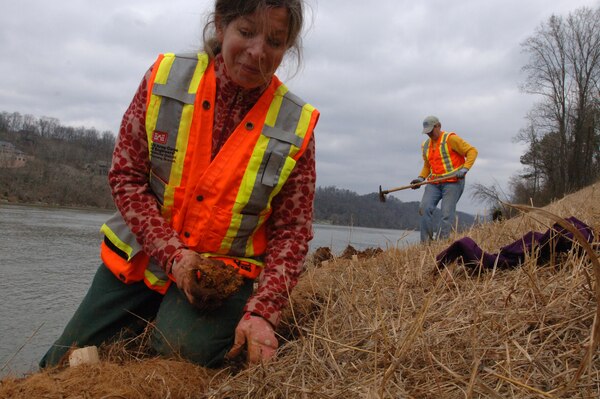 Valerie McCormack and Mark Vaughan install coir fiber wattle, a circular mesh that runs across the entire embankment, while doing work on the river stabilization project at Moccasin Bend in Chattanooga, Tenn., Feb. 27, 2013.  A total of 1,500 feet is being installed to mitigate erosion on the embankment. (USACE Photo by Lee Roberts)