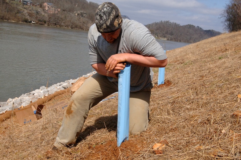 Matthew Granstaff, U.S. Army Corps of Engineers Nashville District biologist, plants the first few saplings of 500 as part of a riverbank stabilization project at Moccasin Bend on the Tennessee River in Chattanooga, Tenn., Feb. 27, 2013. (USACE photo by Lee Roberts)