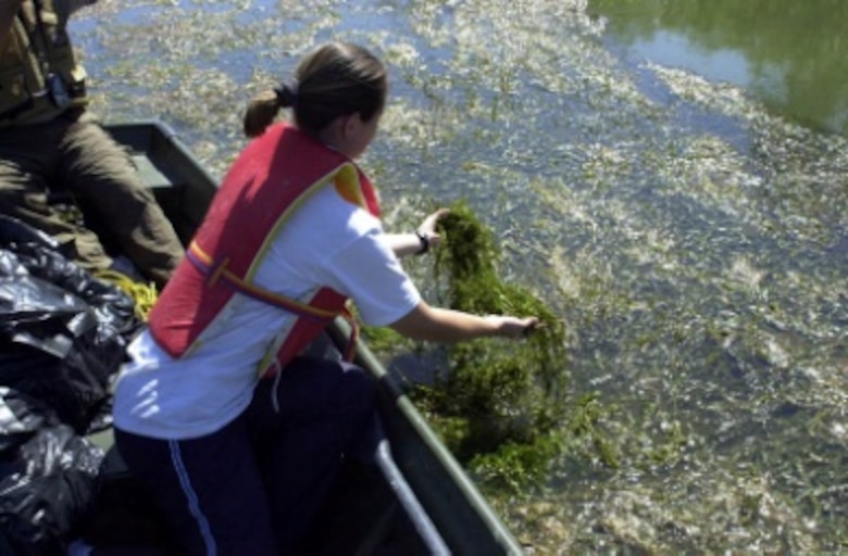 Sampling, characterization, and biocontrol of aquatic invasive plants in lakes and reservoirs are examples of the many research applications that this facility supports.