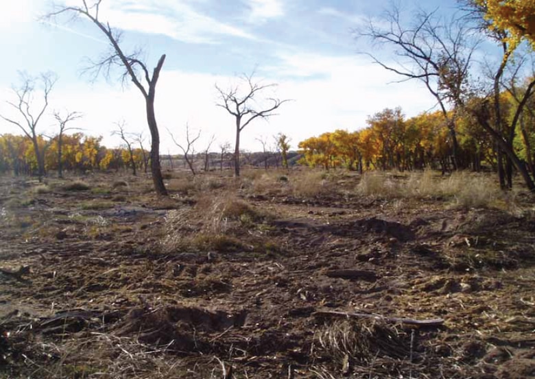 HEAT evaluated and proposed ecosystem restoration alternatives for the Middle Rio Grande Bosque ecosystem in an efficient, effective, and transparent manner.