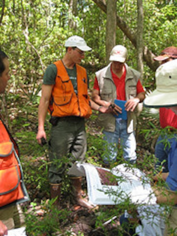 With Regional Supplements to the 1987 Wetlands Delineation Manual, field personnel may conduct more reliable delineation of areas that meet the regulatory definitions of wetlands. 