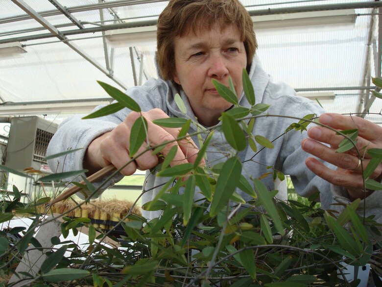 Research Technician Trudy Fadden 