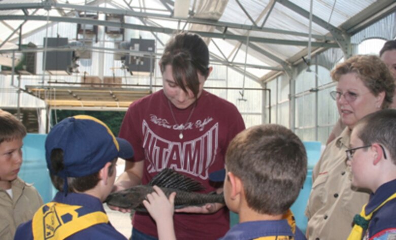 Nicky Hahn, an ERDC student researcher from Louisiana Tech University, shows scouts and leaders the adaptations of South American suckermouth catfishes that enable the fish to out-compete native fishes in North American waters. 