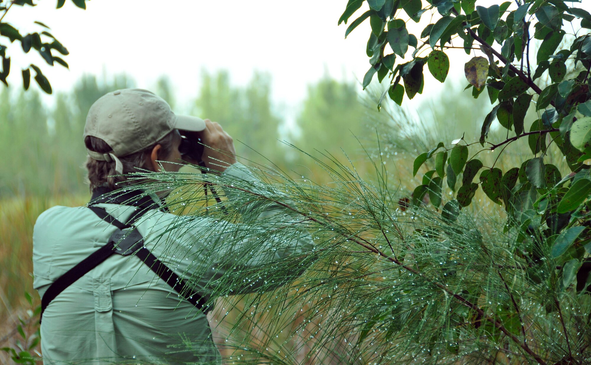 Bonnie Ponwith surveys the landscape with her binoculars during the 2012 Christmas Bird Count at Homestead Air Reserve Base, Fla., Dec. 9. As a National Audubon society program, the Christmas Bird Count is an annual event, more than a century old, that takes place across the country, where tens of thousands of volunteers, students, scientists, and bird enthusiasts turn their heads to the sky in the name of conservation. Audubon and other organizations use data collected in this wildlife census to assess the health of bird populations and to help guide conservation action. (U.S. Air Force photo/Senior Airman Jacob Jimenez)