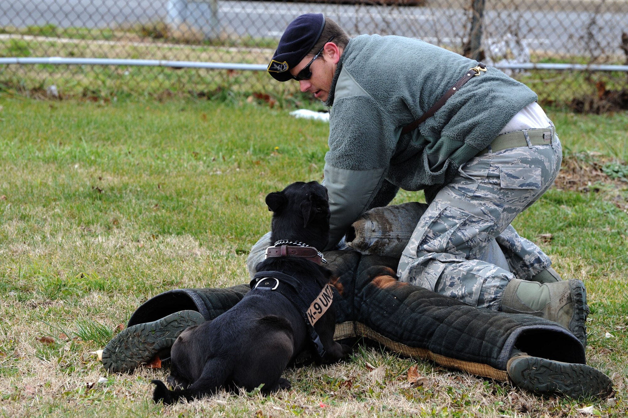Lana, military working dog, looks on as her handler Staff Sgt. Joseph Stoltz, 11th Security Forces Group, searches Staff Sgt. Joshua Aleprete, 11th SFG MWD handler, during a demonstration before the 2012 Military Bowl at RFK Stadium Dec. 27, in Washington, D.C. The Airmen, assigned to Air Force District of Washington located at Joint Base Andrews, Md., showcased their dog’s capabilities to people who visited Military Village Expo prior to the game. (U.S. Air Force photo by Tech. Sgt. Tammie Moore) 